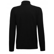 ALEXANDER Roll neck sweater