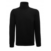 ALEXANDER Roll neck sweater