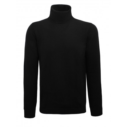 copy of ALEXANDER Roll neck sweater